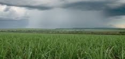 Maio: veja como será o clima nas principais regiões produtoras