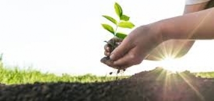 Contratações de profissionais no mercado de bioinsumos crescem 27% em 2024, revela Michael Page