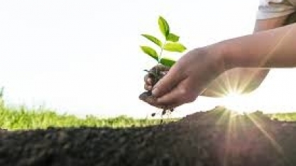 Contratações de profissionais no mercado de bioinsumos crescem 27% em 2024, revela Michael Page