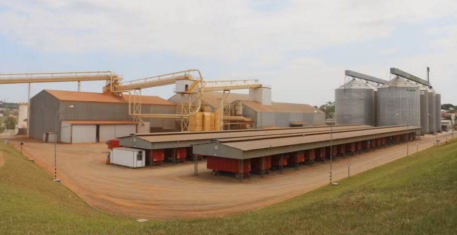 A Coplana é uma cooperativa com sede em Guariba (SP) que reúne produtores de cana, amendoim e soja — Foto: Ewerton Alves