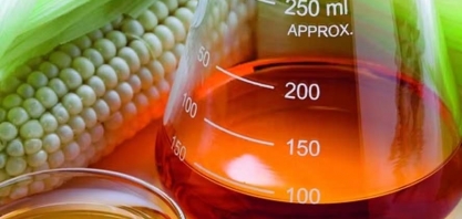 Biotecnologia pode elevar receita de usinas de cana no Brasil em U$$ 250 milhões