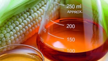 Biotecnologia pode elevar receita de usinas de cana no Brasil em U$$ 250 milhões