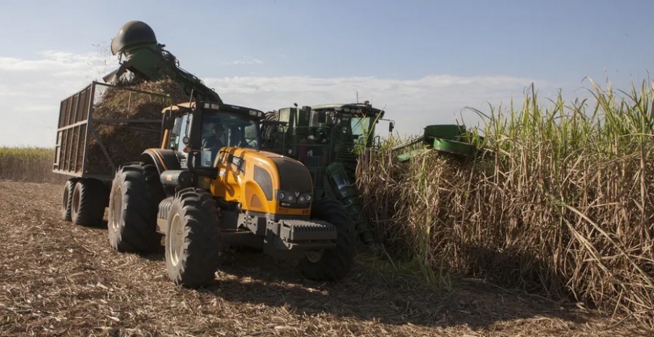 Cotações do etanol vêm se sustentando no mercado paulista, mesmo com o andamento da safra de cana 2024/25 — Foto: Marcelo Min