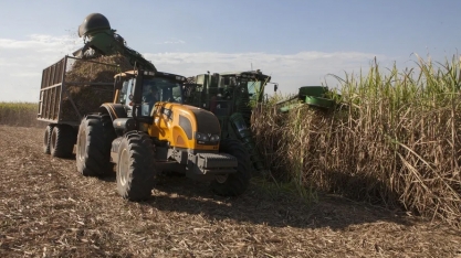 Preços do açúcar caem, enquanto os do etanol seguem firmes