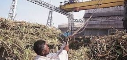 Índia investe em boas práticas e agricultura de precisão para elevar produtividade das lavouras de cana
