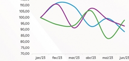 Safra 24/25: Índice de preços dos bioinsumos mais utilizados no começo da safra
