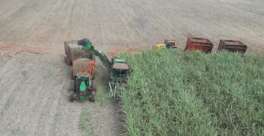Agricultores paranaenses se unem para produzir cana de açúcar de maneira coletiva — Foto: Reprodução/RPC