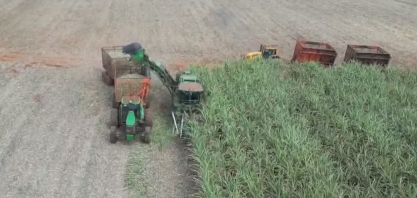 Agricultores paranaenses se unem para produzir cana de açúcar de maneira coletiva