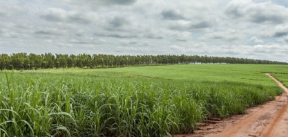 BP Bunge investe em fábrica de fertilizante