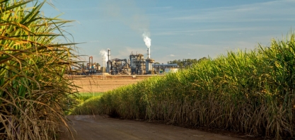 Indústria sucroenergética celebra acordo sobre divisão da receita líquida gerada pelos CBios