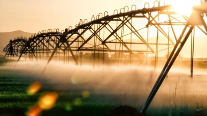 AGRISHOW 2024: Decreto da Secretaria de Agricultura visa dobrar irrigação nas lavouras paulistas