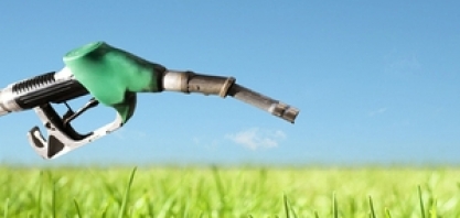 Coprocessado da Petrobras não pode competir com combustível verde, diz Silveira