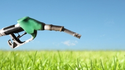 Coprocessado da Petrobras não pode competir com combustível verde, diz Silveira