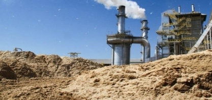 Cogeração de energia a partir de biomassa cresce 8% no primeiro trimestre de 2024