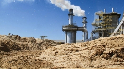 Cogeração de energia a partir de biomassa cresce 8% no primeiro trimestre de 2024