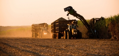 Ritmo da safra canavieira 24/25 no Centro-Sul está acelerado