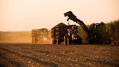 Ritmo da safra canavieira 24/25 no Centro-Sul está acelerado