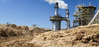 Biomassa: O desafio do avanço constante