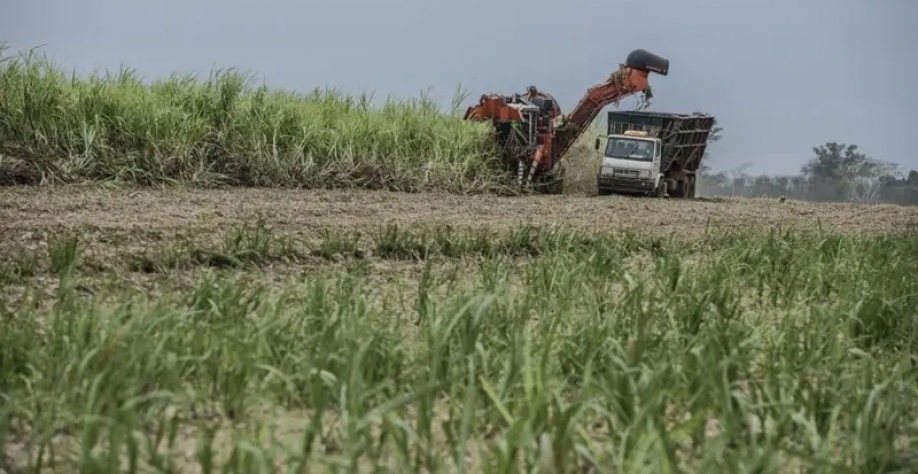 Açúcar do Brasil ajuda a evitar desabastecimento global e traz alívio para o mercado |'Ninguém achava que o Brasil poderia exportar tanto', disse Marcelo de Andrade, diretor de commodities agrícolas da Cofco International(Bloomberg/Paulo Fridman)