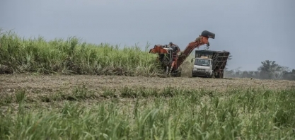 Açúcar do Brasil ajuda a evitar desabastecimento global e traz alívio para o mercado
