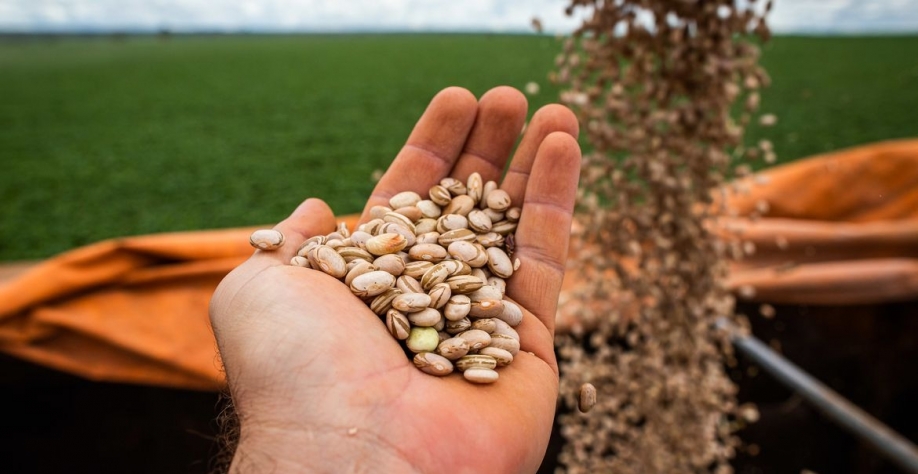 Crédito: Wenderson Araújo/Trilux