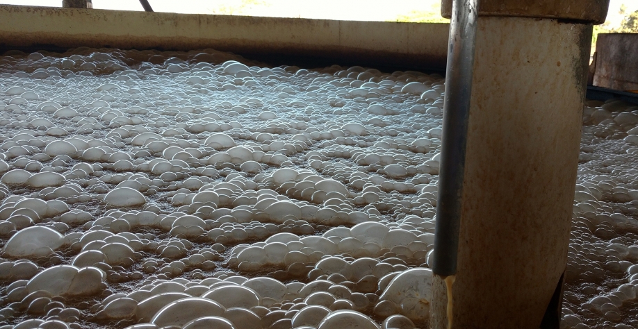 Formação de espuma em dorna na produção de etanol de cana. Crédito: Divulgação Dow
