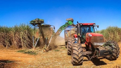 Oferta elevada mantém preço do etanol em queda