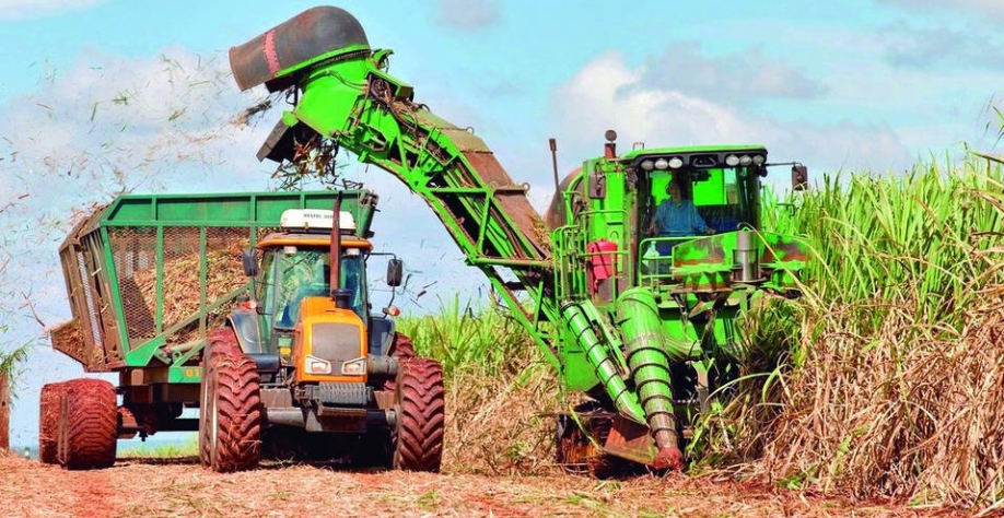 Imagem ilustrativa - Foto: Thadeu Fessel/Unica