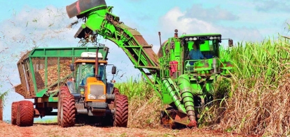Colheita mecanizada: Alagoas lidera ranking no Nordeste