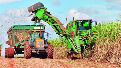 Colheita mecanizada: Alagoas lidera ranking no Nordeste