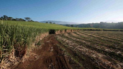 El Niño terminará em junho e La Niña será vista na 2ª metade de 2024, diz meteorologista