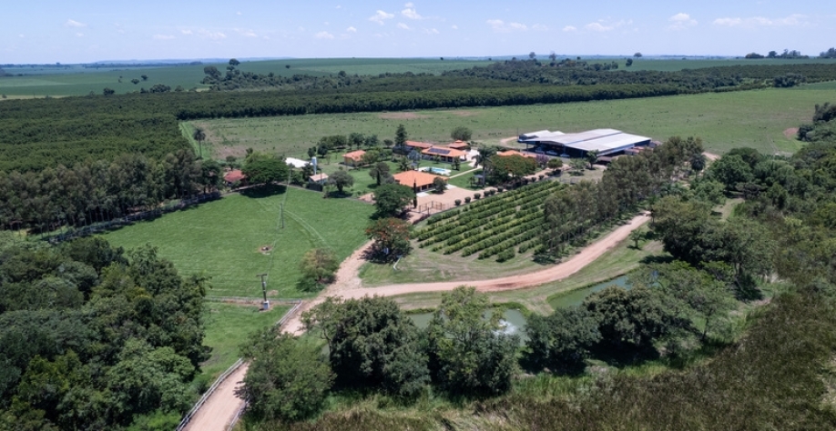 Divulgação Bayer. Fazenda Estância