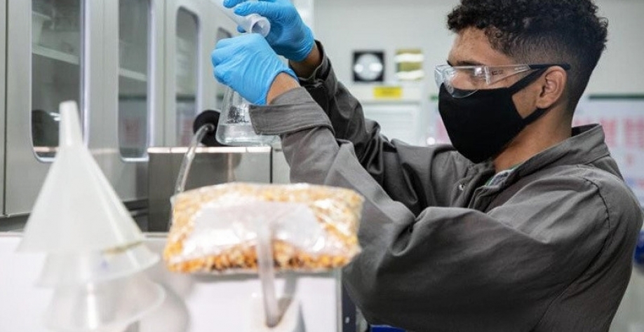 Esse crescimento meteórico, de mais de 3.700% em apenas sete anos, se deve principalmente à introdução do milho como matéria-prima