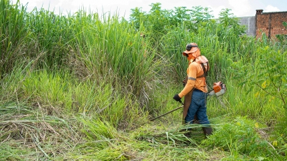  Limpeza mecanizada é opção mais rápida para sitiantes