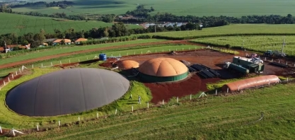Sorgo e capim elefante são testados para produção de biogás
