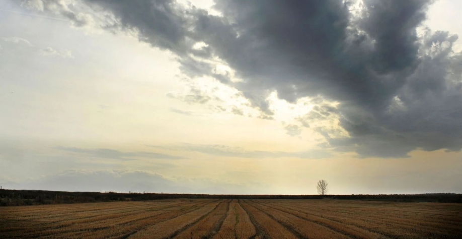 Força vital da economia, monção fornece quase 70% da chuva que a Índia precisa. Mavroudakis_Getty