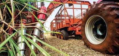 SP aumenta exportações de açúcar e café e agro tem superávit de US$ 7,5 bilhões na balança comercial
