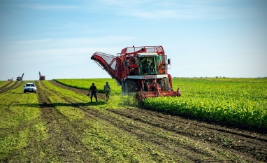 Ucrânia prevê produção de açúcar maior em 2024 e busca novos mercados, diz sindicato