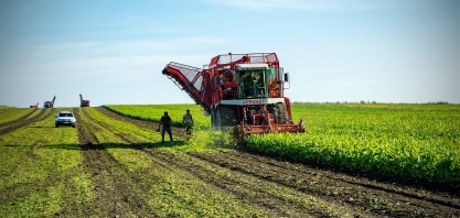 Ucrânia prevê produção de açúcar maior em 2024 e busca novos mercados, diz sindicato