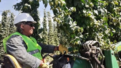 Salários do agro têm forte alta, mas seguem abaixo da média no país
