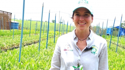 Laura Vicentini, da Spinagro, será debatedora na live: Da Produção de Cana a Empresários e Empresárias do Setor Bioenergético