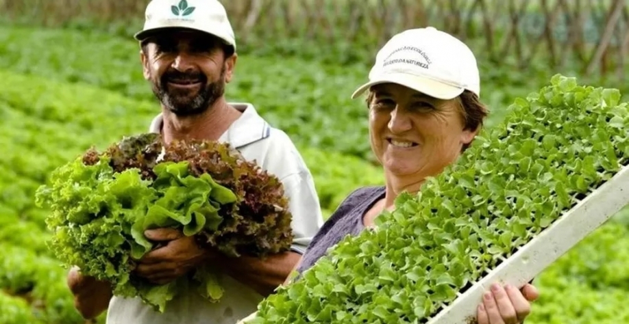 Quatro modalidades de trabalhadores têm direito à aposentadoria rural — Foto: Dvulgação/MDA