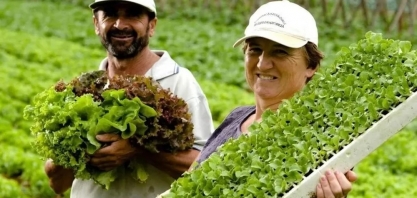 Aposentadoria rural: o que você precisa saber para entrar com o pedido no INSS