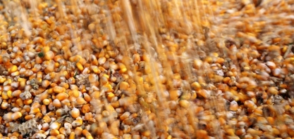 Indústria de etanol de milho busca ampliar venda de DDGs ao Vietnã