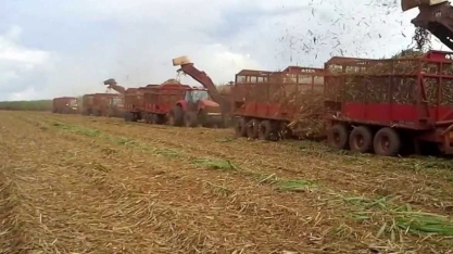 Cadeias de soja e cana-de-açúcar pressionam inflação da indústria em abril, diz IBGE