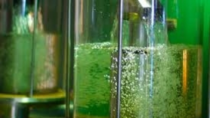 Cresce consumo de etanol entre motoristas