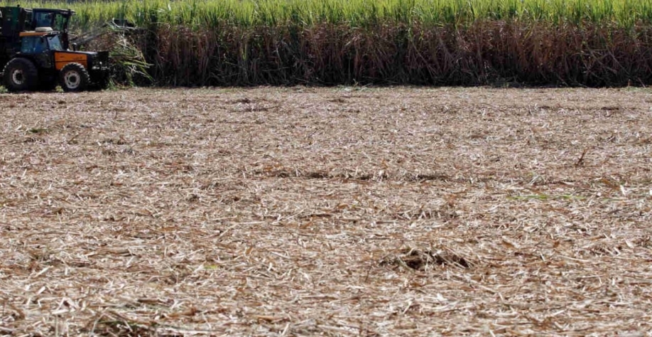 O La Niña traz risco de estiagem no Sul do Brasil, Argentina e Uruguai durante o verão; entenda os impactos (Imagem: REUTERS/Nacho Doce)