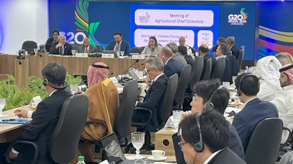 Brasil propõe grupo internacional sobre bioeconomia para o G20