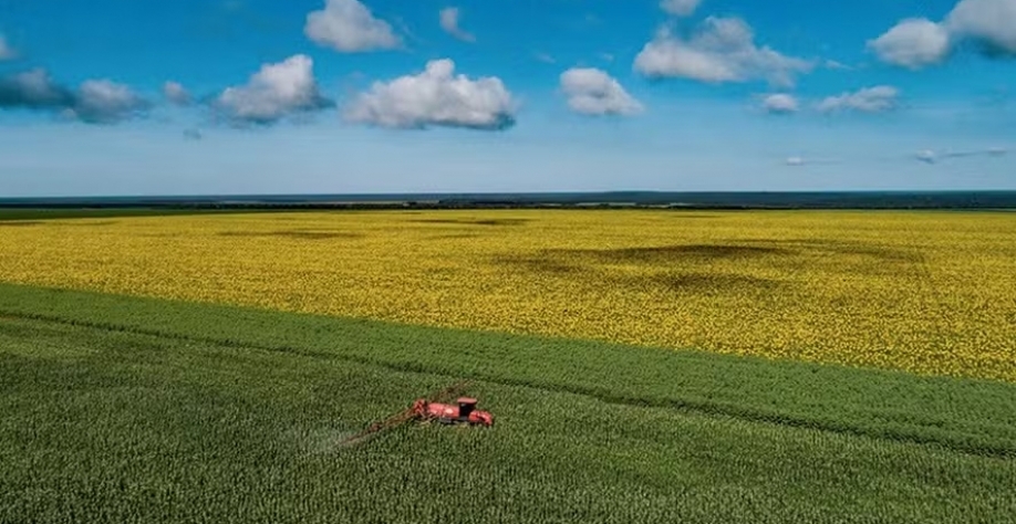 Campo Novo do Parecis (MT), maior produtor brasileiro de milho-pipocas — Foto: José Medeiros/Globo Rural