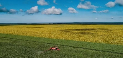 Após ração e etanol, petisco é novo estímulo a cultivo de milho em MT